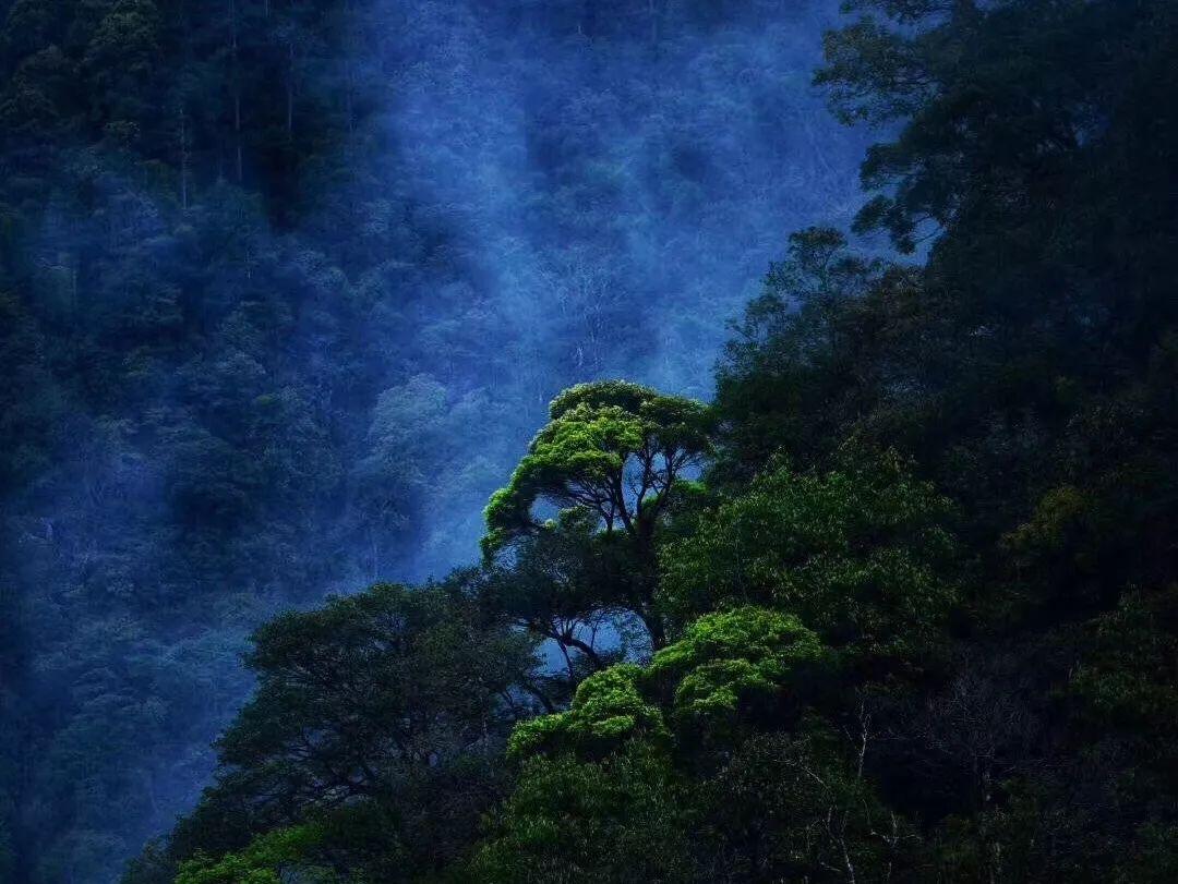 逃离水虎鱼湖