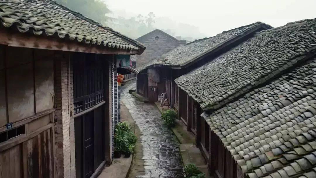 熊猫安安冒险记